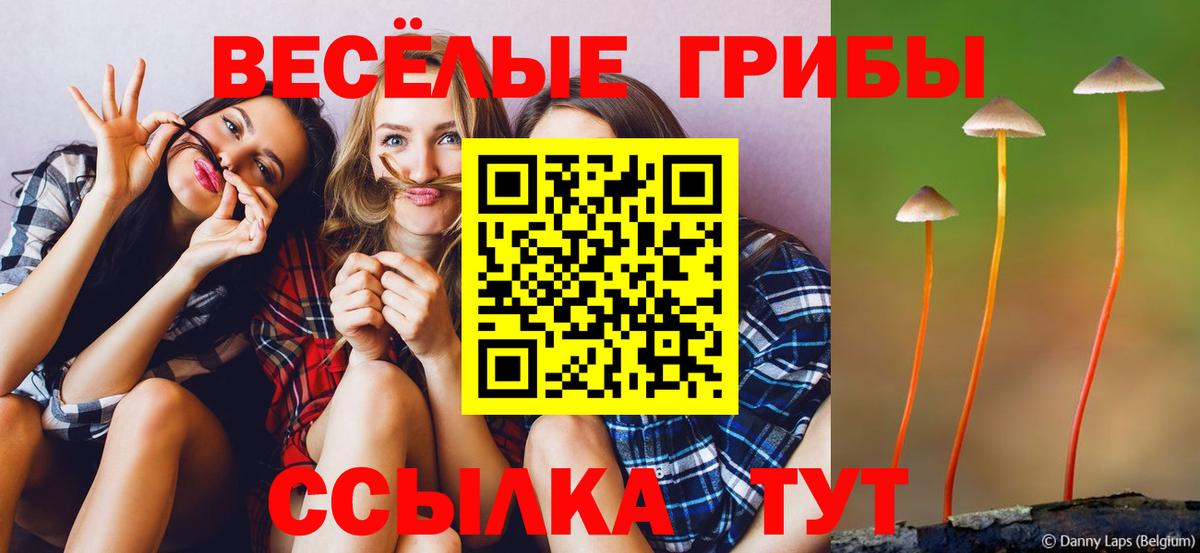 Буйнакск  Галлюциногенные грибы мухоморы  Вход с VPN  Псилоцибиновые грибы Cubensis 